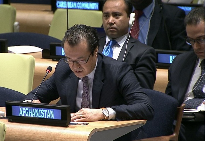 Azerbaijan, Afghanistan have common understanding of regional problems